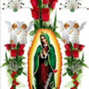 Meet your Posher, Dominga